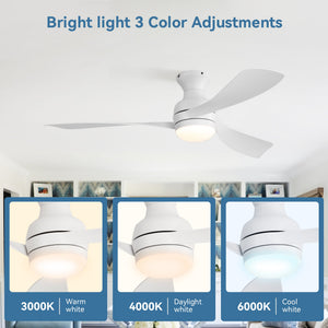52" Low Profile Ceiling Fan with Lights, Quiet Reversible DC Motor, Dimmable LED
