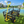 Wagon Cart Garden Cart Trucks Make It Easier to Transport Firewood
