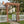 Wedding Arbor With Trellis Design