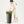 Planter For Outdoor