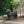 MGO Dog Bench - Outdoor Labrador Design, Matte Black