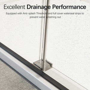 46-48" W x 76" H Frameless Double Sliding Soft-Close Shower Door