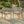 Outdoor Accent Chair Set 2 Person Seating Group