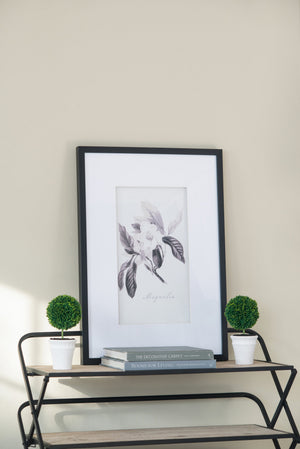 Verdura Botanica: Four-Print Houseplant Pencil Art Set