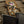 M-Tac Morale Patch Dog Rex PVC 3D