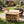 40 Lbs Fatwood Fire Starter Sticks, 100%