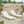 Outdoor Patio Chaise Lounge with 5 Reclining Positions