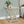 Compact Accent End Table, Square, Transitional