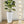 Tall Planters Set With Water Level Monitor And Auto Watering