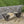 Gloaming Outdoor Bench With Slat Design And Triangular Base