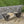 Gloaming Outdoor Bench with Slat Design and Triangular Base