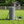 Wire Mesh Fence Roll 60in x 50ft, 1/2in x 1/2in 19GA Galvanized Steel Poultry Netting