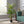 Artificial Palm Tree by House of Zazla