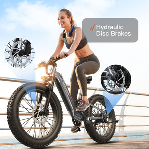 Boxer ST Ebike