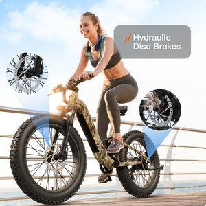 Boxer ST Ebike