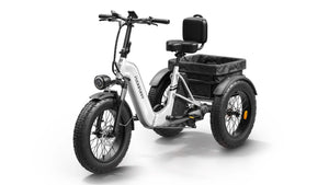 Husky Plus Etrike