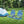 4-Pack 5-Position Outdoor Folding Backpack Beach Reclining Chair with Pillow