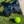 Certified Pre Owned - Lazrus Golf LAZ1 Hybrids