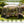 6-8 Person Netted Canopy Tent with Zippered Door