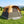 6-Person Instant Cabin Tent with Blackout Rainfly