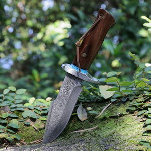 Umbra VG-10 Damascus Hunting Knife with Walnut Handle