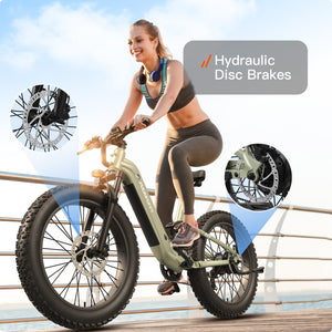 Boxer ST Ebike