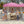 Pop-Up Canopy Tent 6x4 ft with Half Sidewall