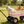 Outdoor Wagon All Terrain Pulling with Wood Railing