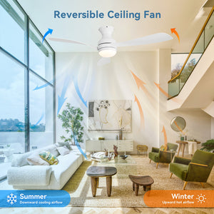 52" Low Profile Ceiling Fan with Lights, Quiet Reversible DC Motor, Dimmable LED
