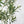8FT Artificial Olive Tree with Decorative White Planter