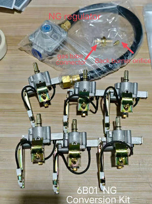 6B01 Propane to Natural Gas Conversion Accessory