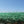 Dewitt Single Landscape Excelsior Erosion Control Blanket, 8'x112.5'