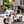 12V Kids Ride-On Motorcycle