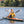 Floating Waterproof Dry Bag Floating Dry Sacks with Observable Window 10L Roll Top Lightweight Dry Storage Bag for Kayaking Rafting Boating Swimming C