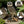 18.98' H x 11.10' L Simulated Owl Resin Garden Statue