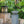 Zen Bowl Water Fountain, Outdoor Bird Feeder / Bath Fountains, Relaxing Water Feature For Garden