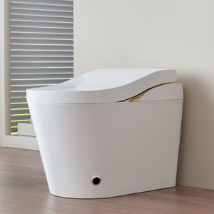 Modern Smart Toilet With Bidet, Auto Flush, Heated Seat, and More