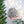 Iced Leaf/Twig Ball Christmas Tree Ornaments - Set of 4