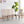 Velvet Dining Chairs For Dining Room (Set of 4)