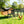Chicken Coop With Run And Nesting Box
