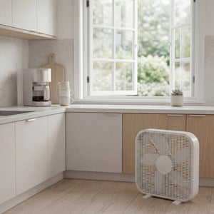 20 Inch Box Fan