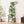 9 Tiered Indoor Plant Stand With 5 Adjustable Grow Lights