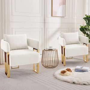 Modern Classic Decorative Chair with Teddy Fleece Upholstery