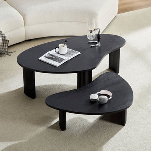2-Piece Modern Irregular Shape Coffee Table Set
