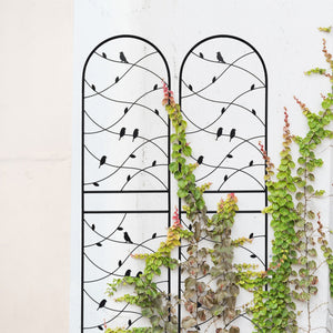 2 Pack Metal Garden Trellis 71" x 19.7" Rustproof Outdoor Plant Support