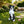 Outdoor Garden Border Collie Dog Statue Greeter