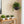 Self Watering Hanging Planter