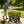 Wagon Cart Garden Cart Trucks Make It Easier To Transport Firewood Yellow+Black