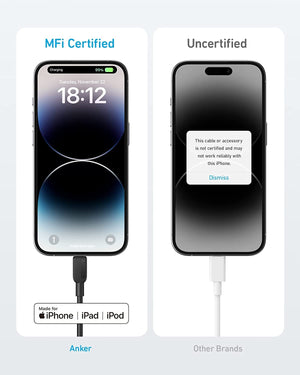 Anker <b>310</b> USB-C to Lightning Cable (6 ft, 2-Pack) - TRAPSKI