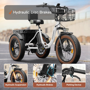 Alaskan Etrike